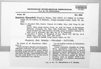 Image Associated With the Occurence